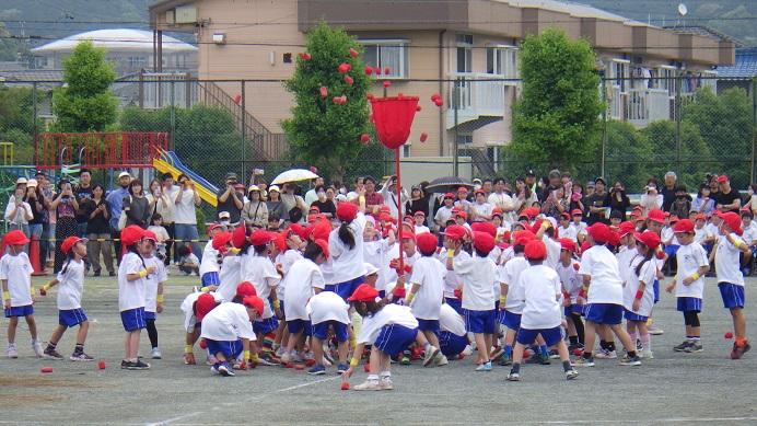 １年生の玉入れ